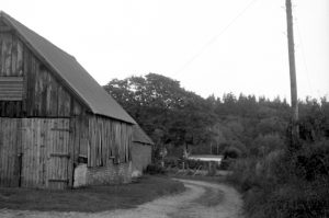 Voigtlander Vito 1 farm barn photo