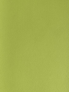 Milly-Cameras-camera-recovering-leather-skins-lime-green