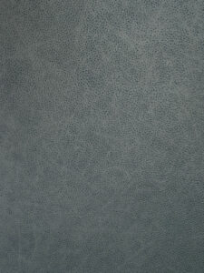 Millys Cameras camera recovering-leather moon crater grey