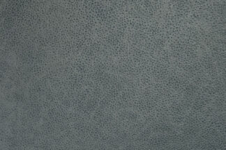 Millys Cameras camera recovering-leather moon crater grey