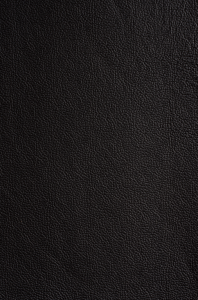 Milly's Cameras - Black Camera Leather