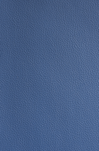 Yale Blue Leather