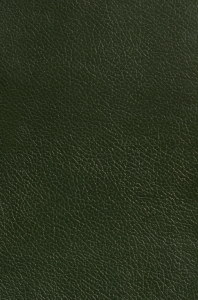 British Racing Green Leather